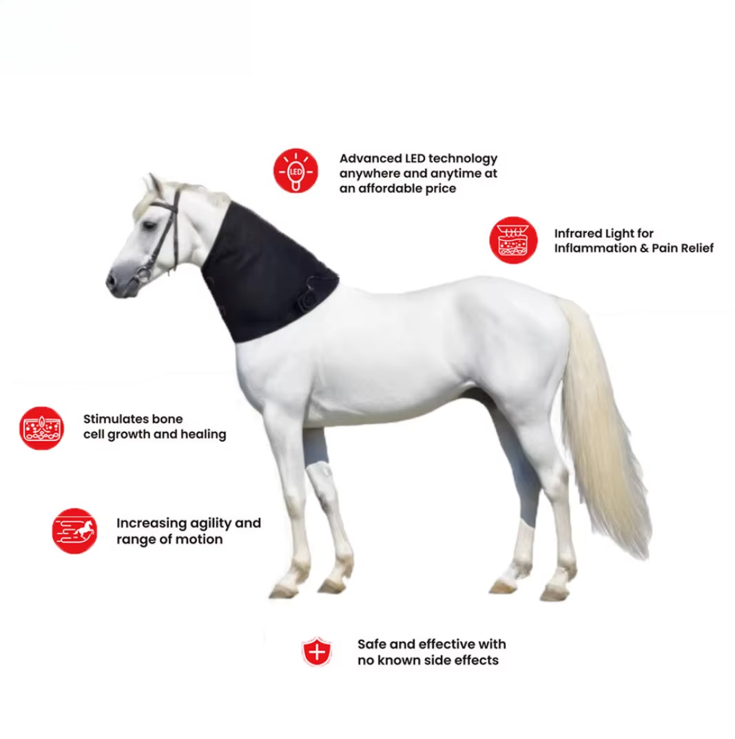 Outdoor Furniture Target - Rood licht gericht op nekgebieden Veterinair